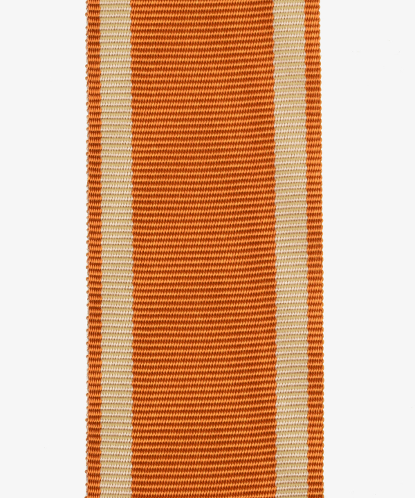 German Empire, German Protective Wall Medal (137)